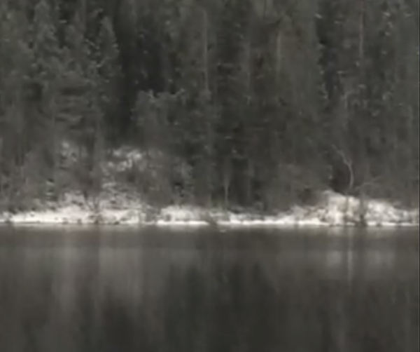 Filma ørnekamp på Vatne
