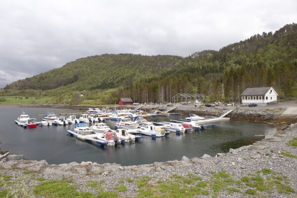 Feida i småbåthamna fortset