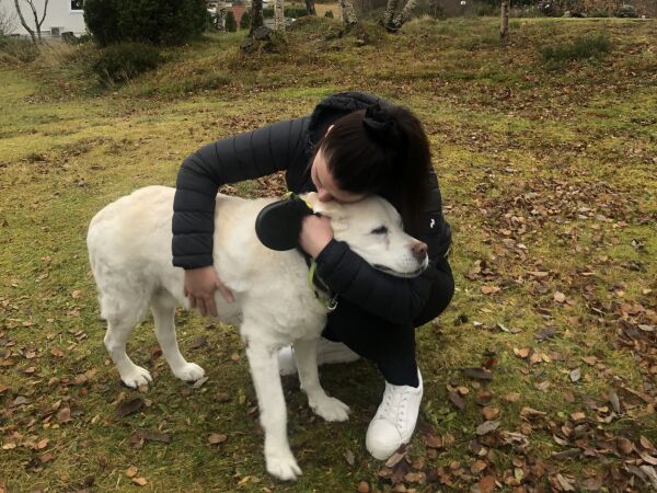 Kjendishunden «Fox» har gått til kvile