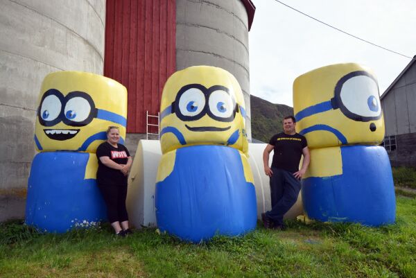 Har måla the Minions på rundballar