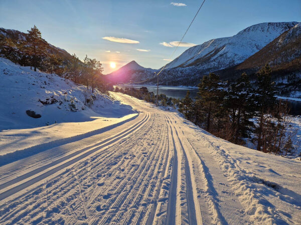 Skund deg ut!