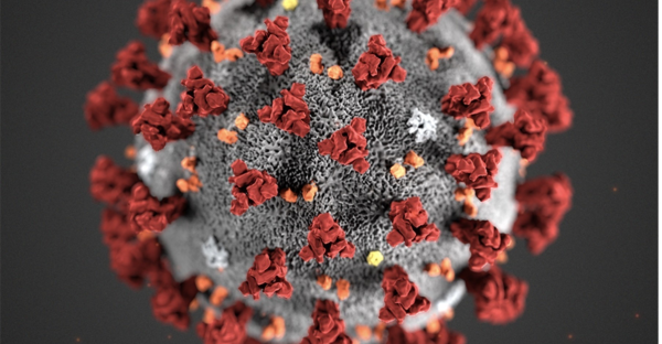 To nye tilfelle av koronavirus