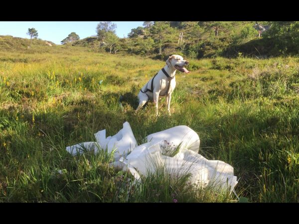 Plastforsøpling ved Hestevatnet