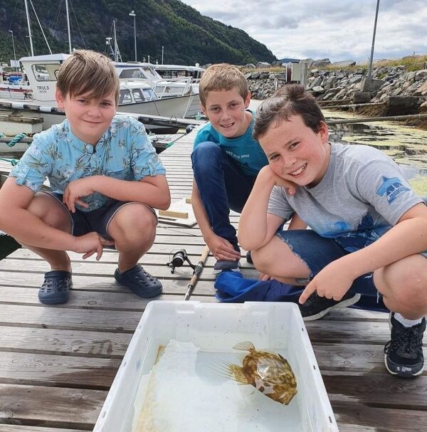 Fanga sjeldan fisk på hamna i Søvik
