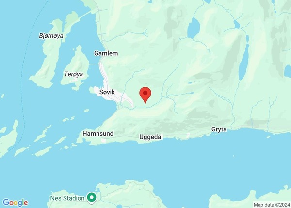 Naudetatane rykka ut til bilulykke