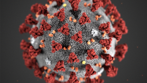 To nye tilfelle av koronavirus