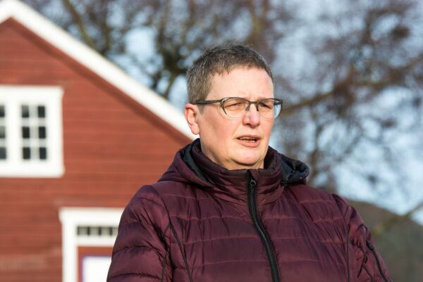 Tek ein dag av gongen