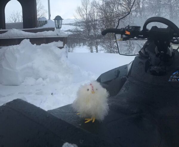 Mykje folk ute i løypene