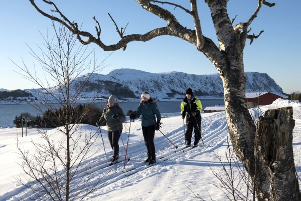 Ski og vinter i havgapet