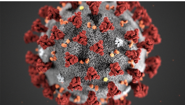 Ein person har fått påvist koronavirus