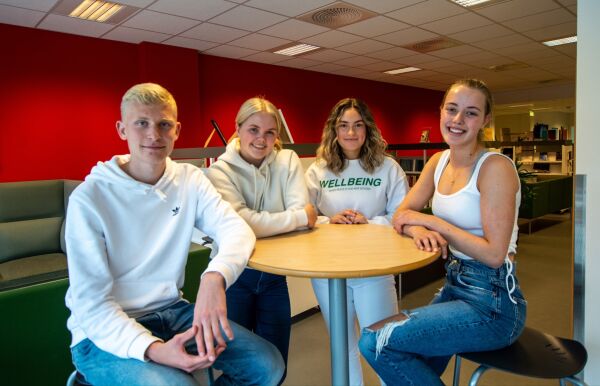 Enklast å  vite kven ein ikkje skal røyste på