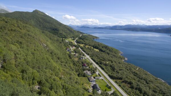 Avviser å ha skote etter påkøyrd hjort