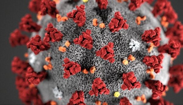 Tilsett i kommunal barnehage i nordre del av Ålesund smitta av koronavirus