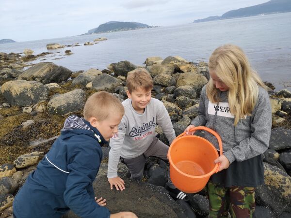 Mange artige sommarskuletilbod i vente