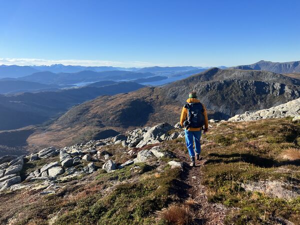 Fjellfavorittar