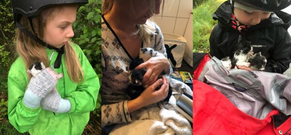 Opprørt over å finne forkomne kattungar ved pose i grøft