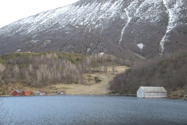 Notanaustet i Skarebukta