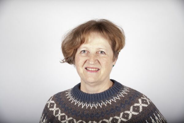 Ny språkbruksplan for Ålesund kommune skal meislast ut