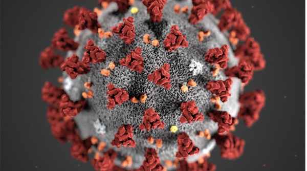 Fire nye tilfelle av koronavirus
