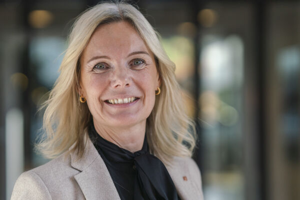 Haugan vert direktør