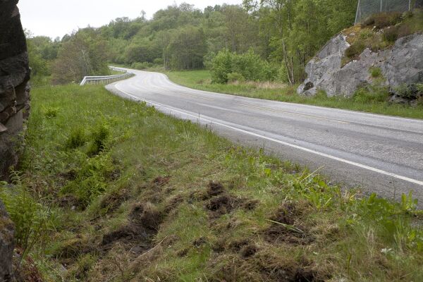 19-åring frå Brattvåg omkom i bilulukke