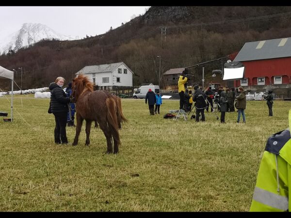 Filmteam ved Stall Skjeljavika