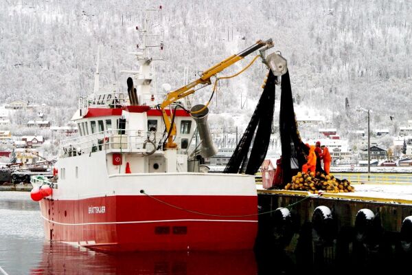 Beste resultat nokosinne for fiskeflåten