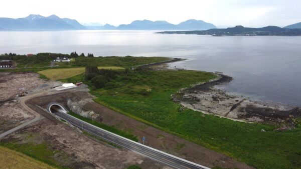 Einvegskøyring på Harøya laurdag