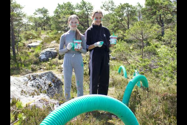 Skogdekor før skuleslutt