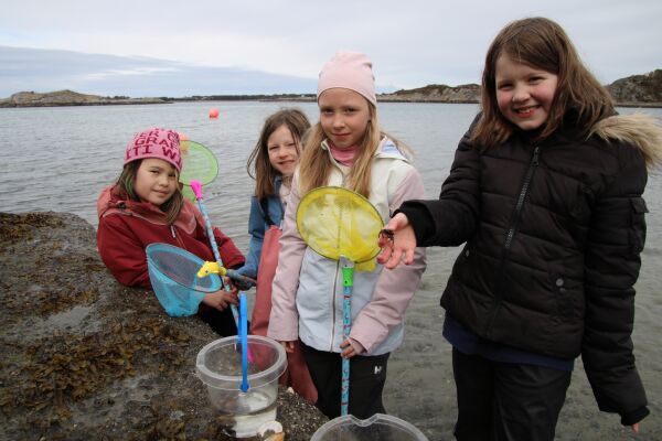 Harøy skule markerte SFO-dagen i fjøresteinane