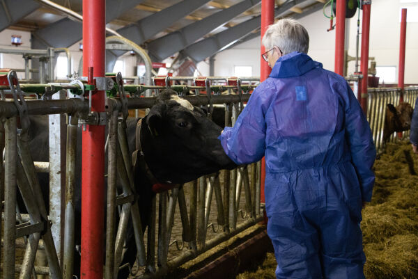 Ber om 600.000 kroner i tilskot for veterinærtenesta