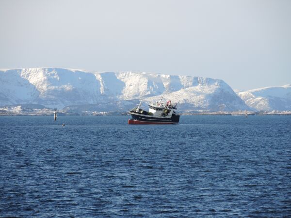 MS «Nordsø» av grunna