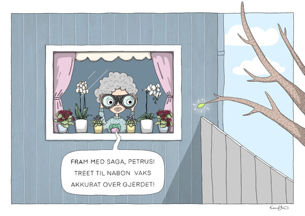 Den gode nabo