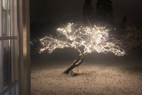 «Annaleis-jula»
