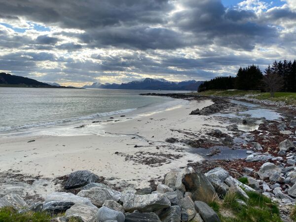 Skal bli sydenstrand på  Lepsøya i år også