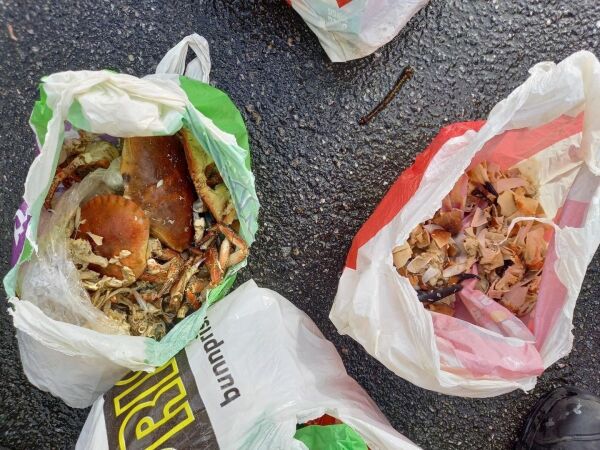 Krabbefest i Brattvåg?