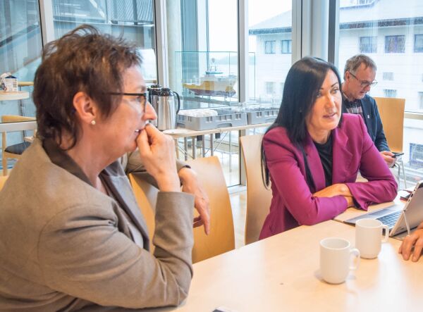 Vikhagen konstituert som kommunaldirektør