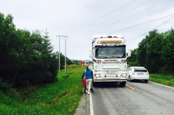 Ber om hjelp til trafikktrygging på Gamlem