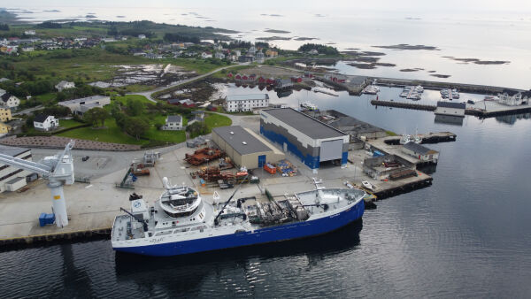 Feilslått forslag