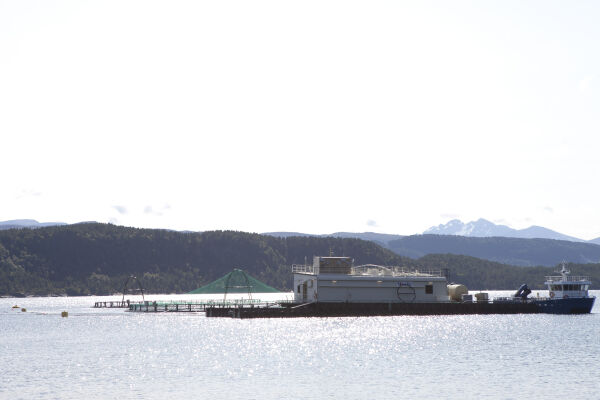 Grunnrenteskatten må endrast, meiner Ålesund formannskap