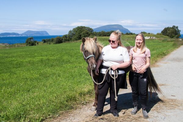 Rideglede i Stall Skjeljavika