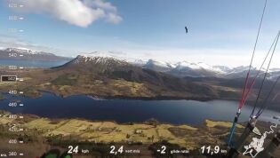 Eagle stalking