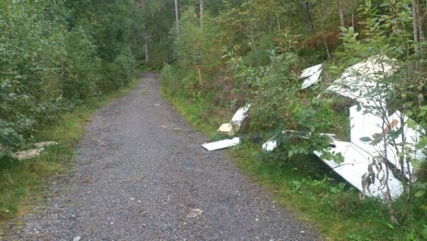 Miljøsvin på skogen