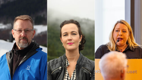 Badelanddebatt med bismak – kvar blei det av dei økonomiske realitetane?