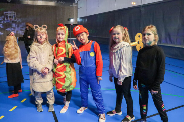 Limbo for Super Mario, pølser, pandaer og flamingoar