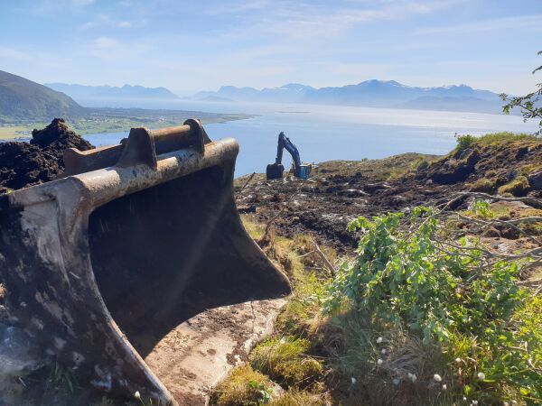 Ein tragedie for folk og natur