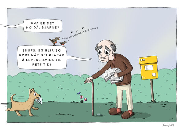 Lettrørte typar