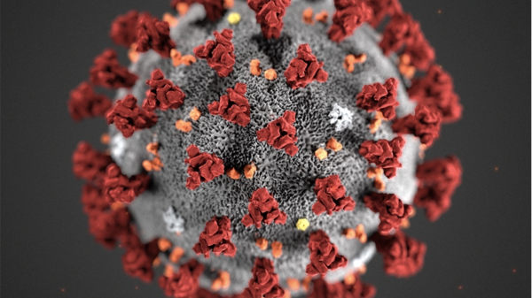 Eitt nytt tilfelle av koronavirus i Ålesund
