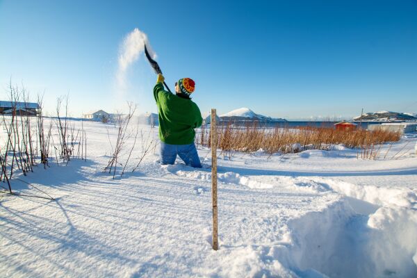 Snøfryd og måkefrustrasjon