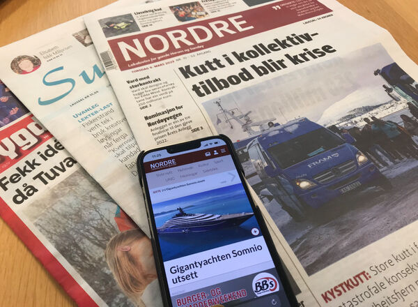 Nordre aukar på nett
